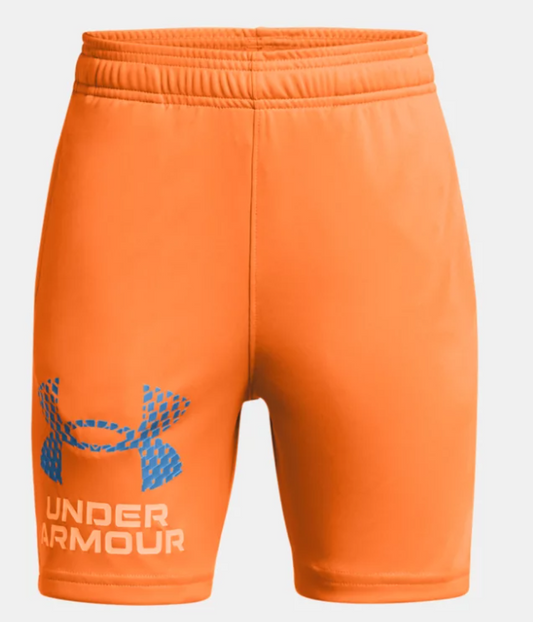 UA Tech Logo Shorts