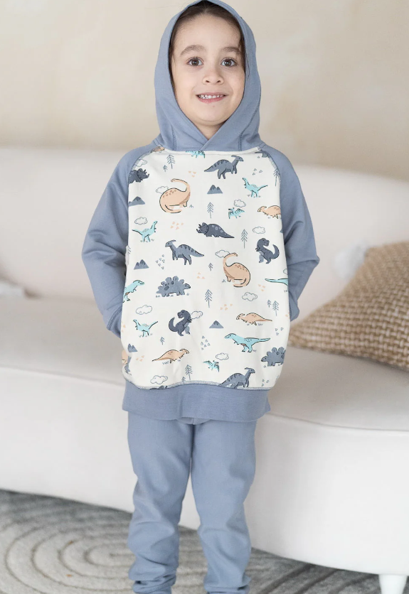 Bamboo Fleece Hoodie (Dino Delight)