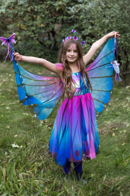 Butterfly Twirl Dress W/ Wings & Headband