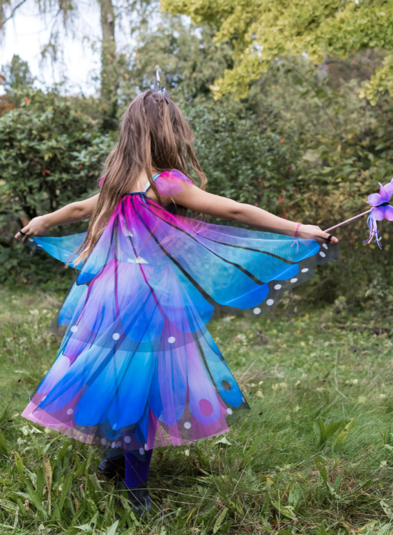 Butterfly Twirl Dress W/ Wings & Headband