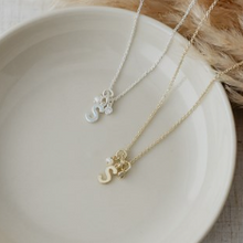 Load image into Gallery viewer, Insignia Necklace
