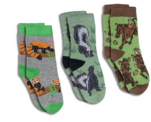 Load image into Gallery viewer, Kids Good Luck Socks 3pk
