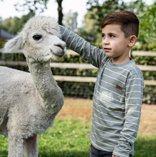 Load image into Gallery viewer, Boy&#39;s Faded Green Long Sleeve
