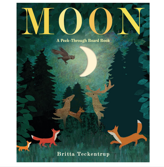 Moon: A Peek Through Board Book