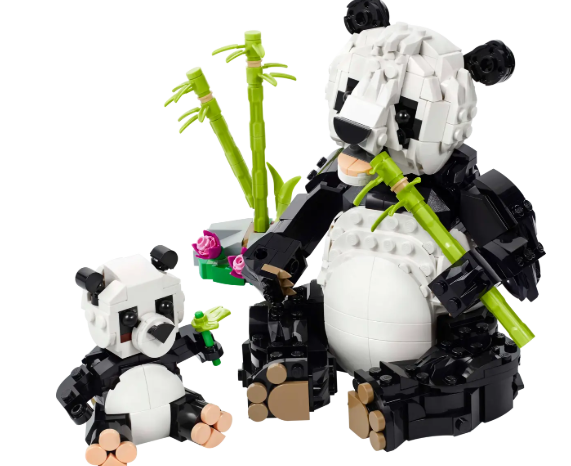 Wild Animals: Panda Family