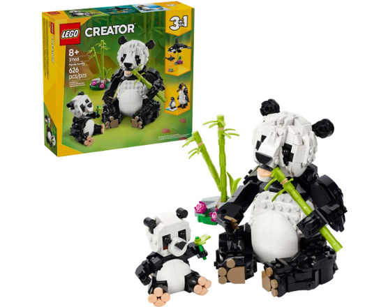 Wild Animals: Panda Family