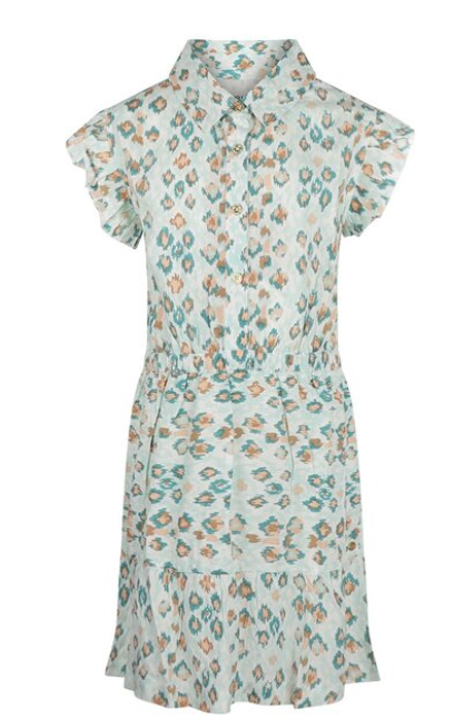 Aqua Blue Panther Print Dress