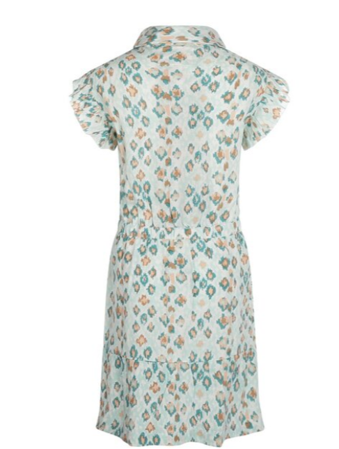 Aqua Blue Panther Print Dress