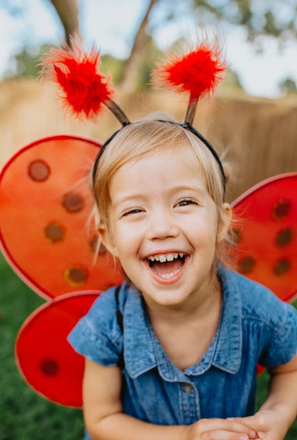 Ladybug Wings & Headband