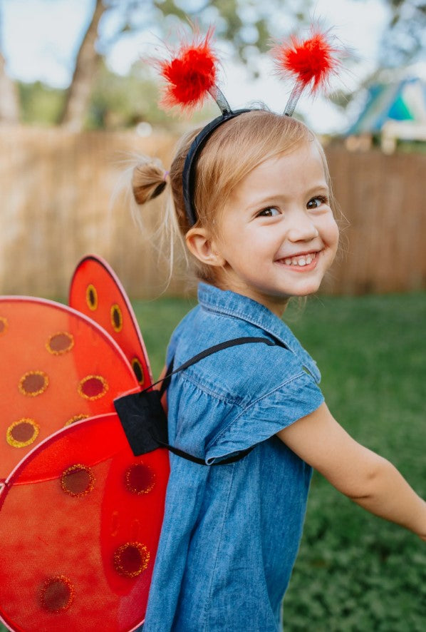 Ladybug Wings & Headband