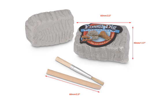 Fossil Dig Paleo Kit